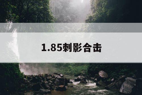 1.85刺影合击