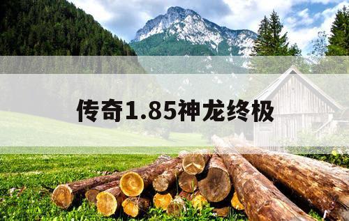 传奇1.85神龙终极