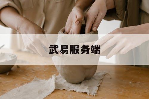 武易服务端