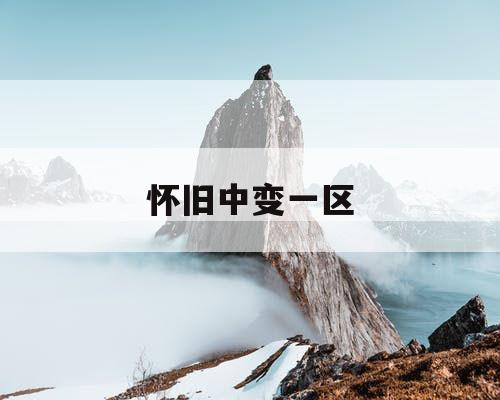 怀旧中变一区