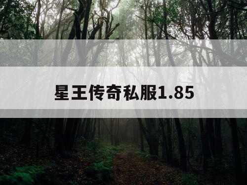 星王传奇私服1.85