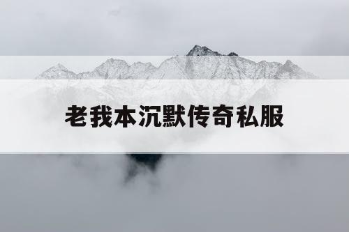 老我本沉默传奇私服