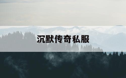 沉默传奇私服