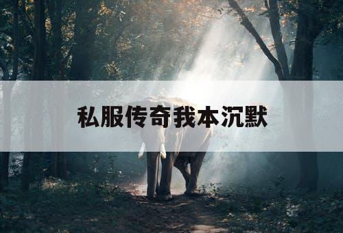 私服传奇我本沉默