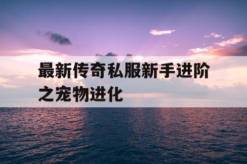 最新传奇私服新手进阶之宠物进化