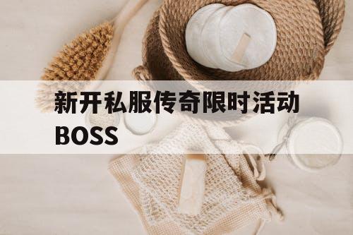 新开私服传奇限时活动BOSS