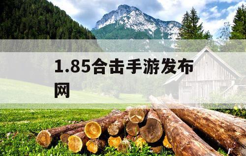 1.85合击手游发布网