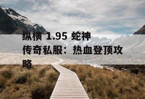 纵横 1.95 蛇神传奇私服：热血登顶攻略