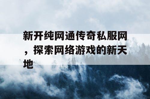 新开纯网通传奇私服网，探索网络游戏的新天地