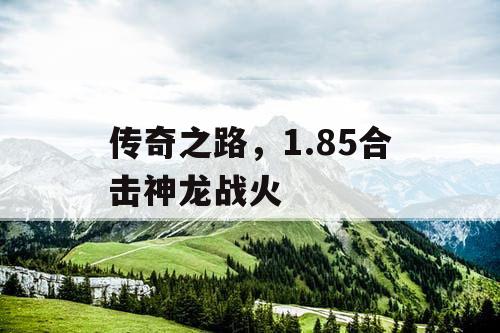 传奇之路，1.85合击神龙战火