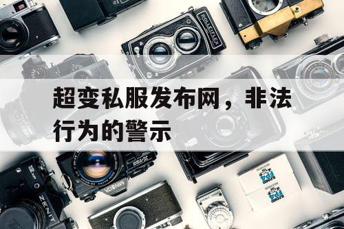 超变私服发布网，非法行为的警示