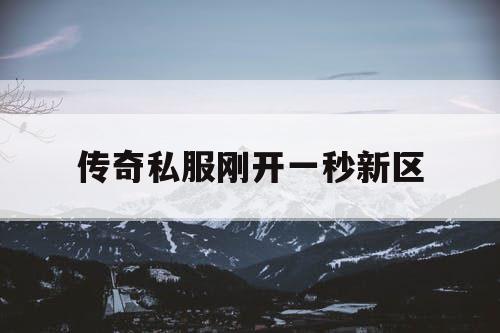 传奇私服刚开一秒新区