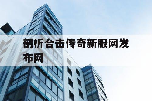 剖析合击传奇新服网发布网
