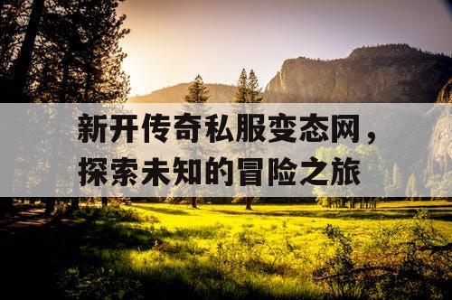 新开传奇私服变态网，探索未知的冒险之旅