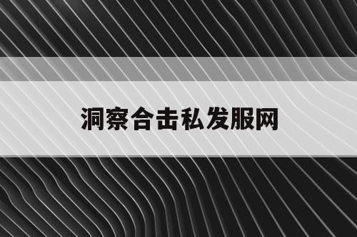 洞察合击私发服网