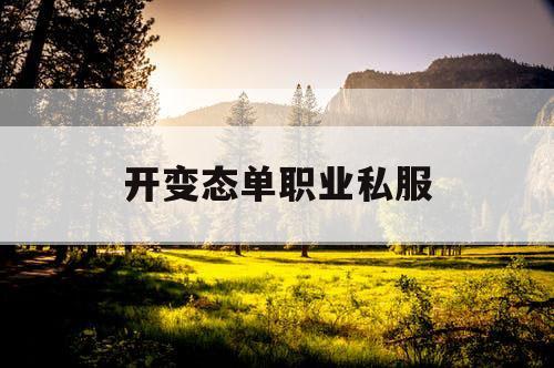 开变态单职业私服