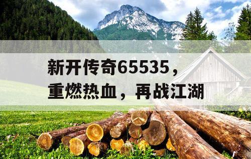 新开传奇65535，重燃热血，再战江湖
