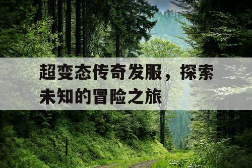 超变态传奇发服，探索未知的冒险之旅