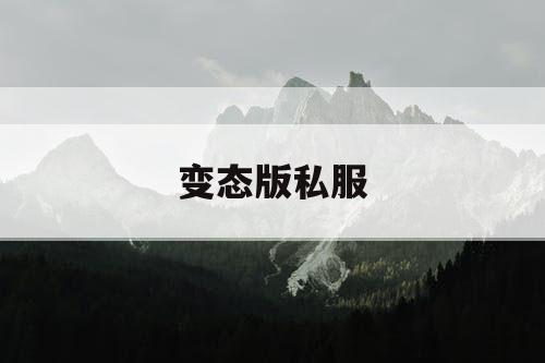 变态版私服