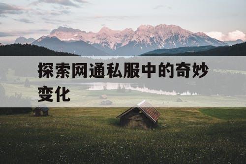 探索网通私服中的奇妙变化