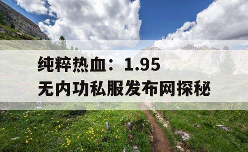 纯粹热血：1.95 无内功私服发布网探秘