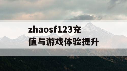 zhaosf123充值与游戏体验提升