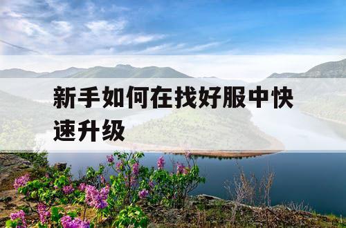 新手如何在找好服中快速升级