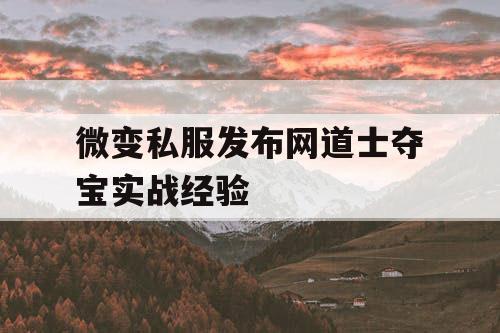 微变私服发布网道士夺宝实战经验