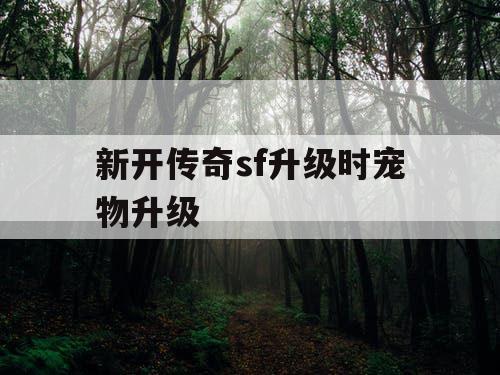 新开传奇sf升级时宠物升级