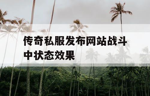 传奇私服发布网站战斗中状态效果