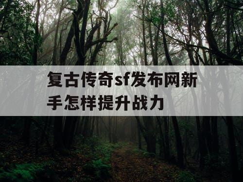 复古传奇sf发布网新手怎样提升战力