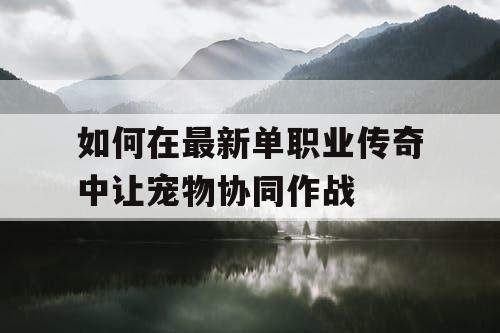 如何在最新单职业传奇中让宠物协同作战