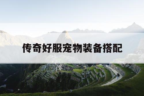 传奇好服宠物装备搭配