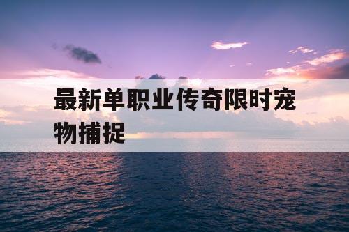 最新单职业传奇限时宠物捕捉