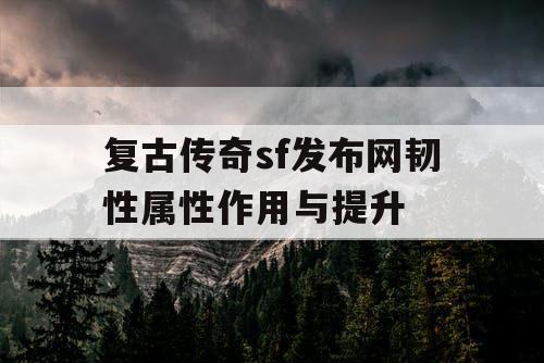复古传奇sf发布网韧性属性作用与提升